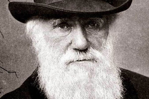 биология, эволюция, теория Дарвина