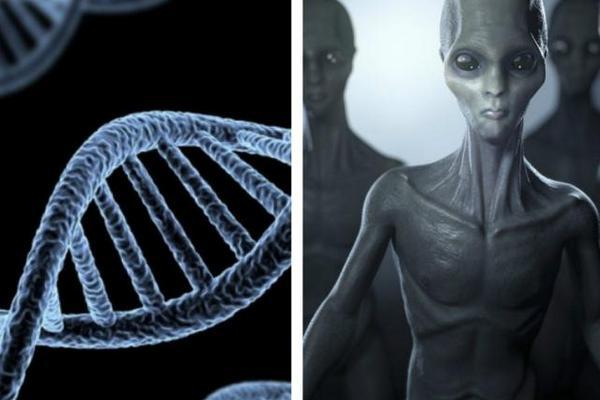 Американцы синтезировали «неземную» ДНК