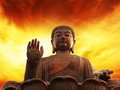Буддизм: история и основы