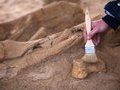 Уникальная находка кенийского фермера