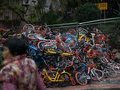 Как прокат велосипедов привел к экологической катастрофе?
