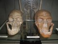 В Индонезии нашли останки древних людей неизвестного вида