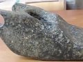 В Румынии обнаружили потенциальное доказательство инопланетной жизни