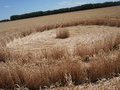  Мы пришли с миром : новые загадочные круги на полях Кубани