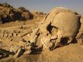 Странные человеческие черепа  откопали  в Турции
