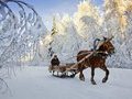 История почтовой рассылки на Руси: интересные факты о русских ямщиках