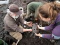 Древние артефакты на Аляске под угрозой
