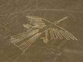 Ученые:  рисунки на полях  служили коммуникацией с древними богами