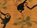 В китайской гробнице обнаружены останки обезьяны неизвестного вида
