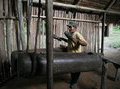Мангуаре – традиционный инструмент диких племен Амазонки