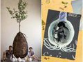 Новые кладбища: как стать в следующей жизни деревом