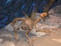 Динозавр-воробей и другие интересные находки