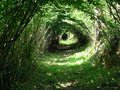 Таинственный громкий гул, услышанный во всем мире, все еще остается необъяснимым