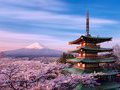 Десять удивительных фактов о Японии