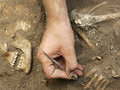 Археологи из Норвегии обнаружили захоронение викинга