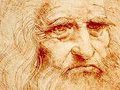 Факты о картинах Да Винчи, обучении, интересах, произведениях искусства