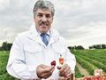 Эксперты смеются над  клубничной революцией  Грудинина