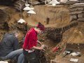 Самым старым найденным рисунком оказался древний хэштэг