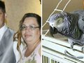  Сторожевые попугаи  помогли раскрыть преступления
