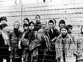 История человека, прошедшего лагерь смерти Освенцим
