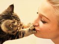 Почему кошки уже официально признаны лечебными?