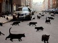 20 странных примет