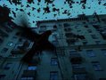 Откуда берутся злые птичьи стаи?