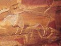 В Южной Африке обнаружены 8 000-летние петроглифы