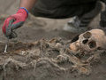 Перуанские археологи обнаружили места массовых жертвоприношений детей