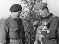 Наследник Железного канцлера и немецкий Власов