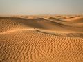 Пустыня Сахара: какой она была 5 тысяч лет назад?