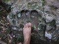 В Эквадоре найден  Затерянный город гигантов 