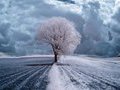 1816-й - как зима продлилась целый год