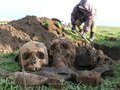 Исследователи из ФССП нашли останки более 90 солдат, захороненных в Керчи во время войны