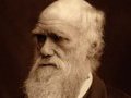 Дарвин состоял в браке с двоюродной сестрой и имел 10 детей