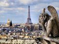 Во Франции незаконно называть свинью  Наполеоном  и еще топ-28 фактов о стране