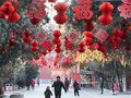 Интересные факты о китайском Новом годе