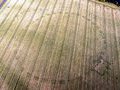 Древние руины: шесть новых удивительных открытий